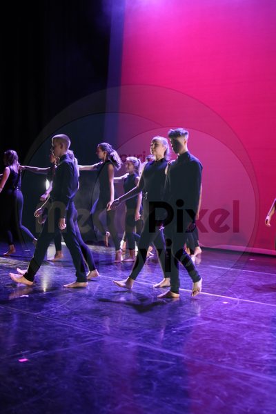 Dorothy Stringer Show - Image 7609