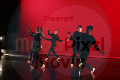 Dorothy Stringer Show - Image 7744