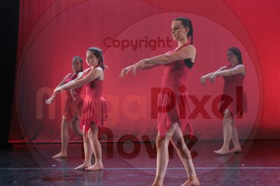 Dorothy Stringer Show - Image 8708