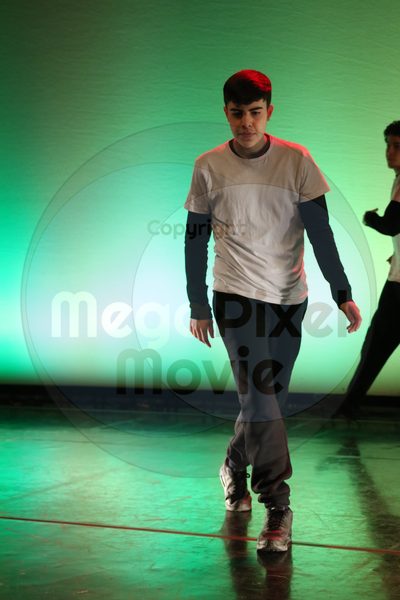Dorothy Stringer Show - Image 9970