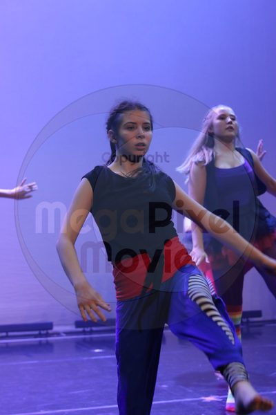 Dorothy Stringer Show - Image 0257