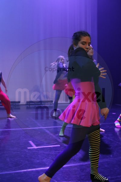 Dorothy Stringer Show - Image 0281