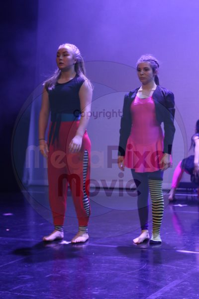 Dorothy Stringer Show - Image 0485