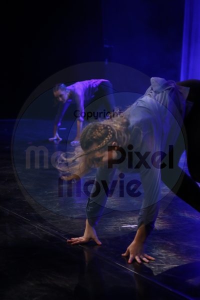 Dorothy Stringer Show - Image 7840