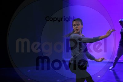 Dorothy Stringer Show - Image 7909