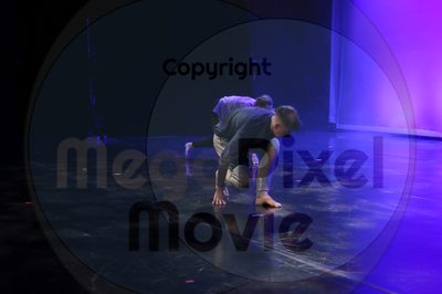 Dorothy Stringer Show - Image 7989