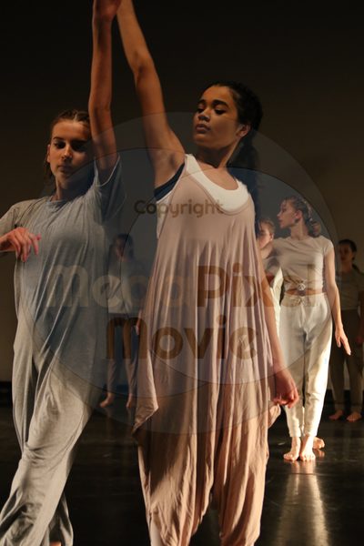 Dorothy Stringer Show - Image 0241