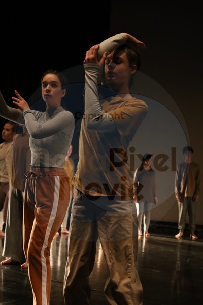 Dorothy Stringer Show - Image 0245