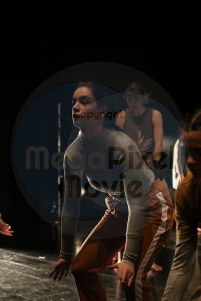 Dorothy Stringer Show - Image 0251