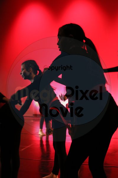 Dorothy Stringer Show - Image 0843