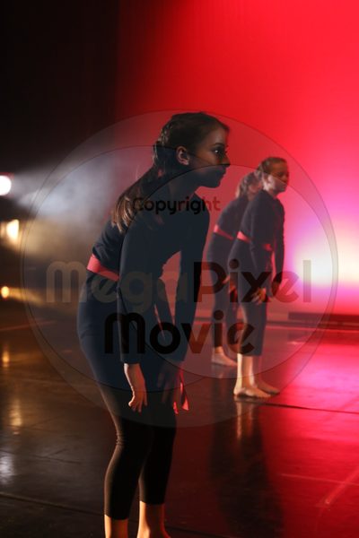 Dorothy Stringer Show - Image 0861
