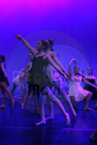 Dorothy Stringer Show - Image 9638