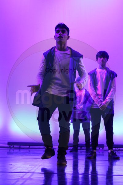 Dorothy Stringer Show - Image 1050