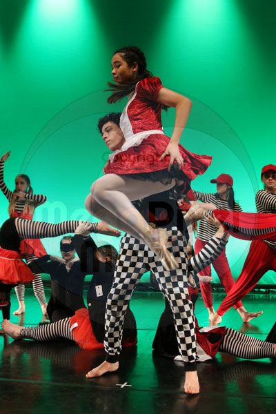 Dorothy Stringer Show - Image 0607