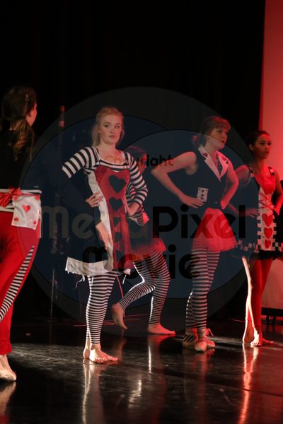 Dorothy Stringer Show - Image 0826