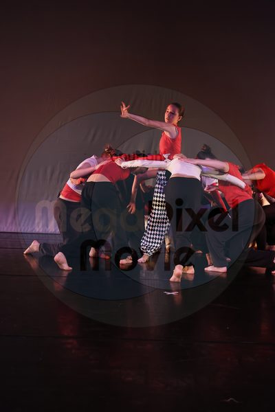Dorothy Stringer Show - Image 696A5222