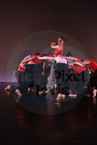 Dorothy Stringer Show - Image 696A5224