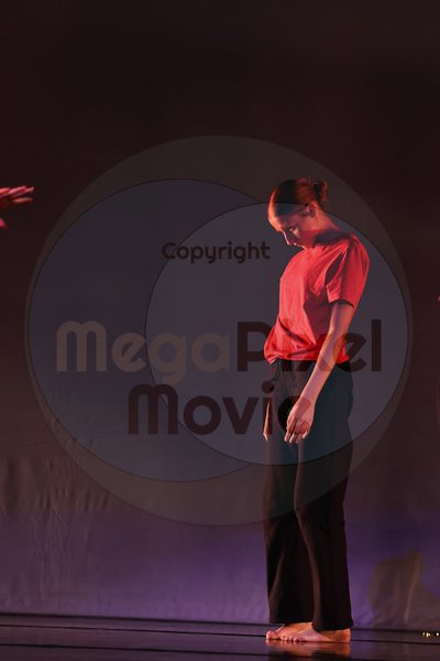 Dorothy Stringer Show - Image 696A5380