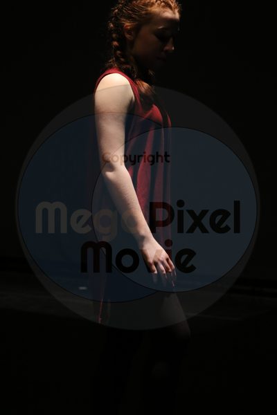 Dorothy Stringer Show - Image 1080