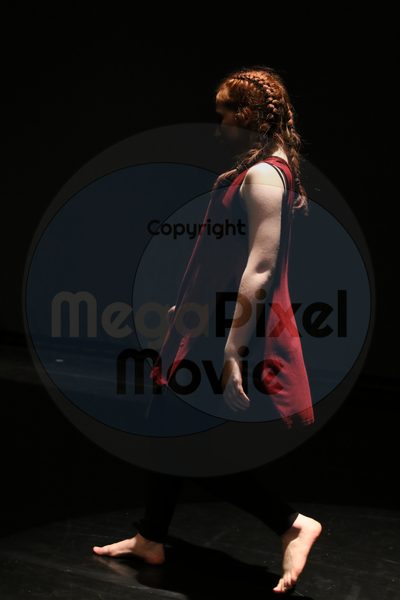 Dorothy Stringer Show - Image 1083