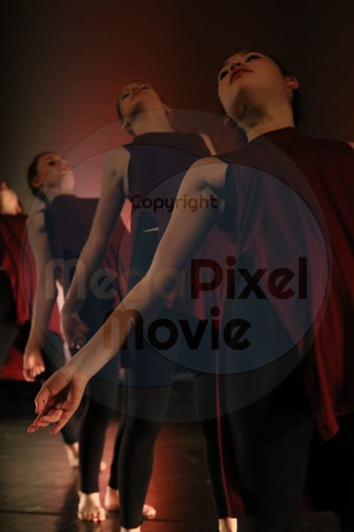Dorothy Stringer Show - Image 1206