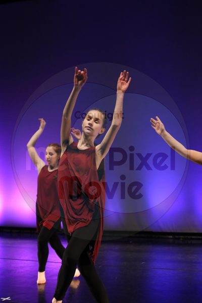 Dorothy Stringer Show - Image 1247
