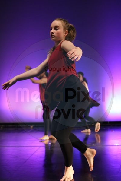 Dorothy Stringer Show - Image 1261