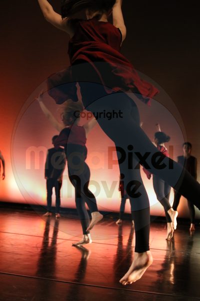 Dorothy Stringer Show - Image 1319