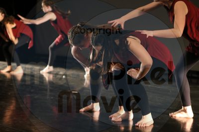 Dorothy Stringer Show - Image 1400