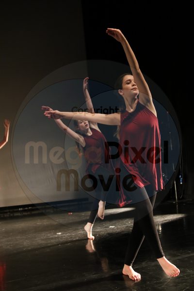 Dorothy Stringer Show - Image 1441