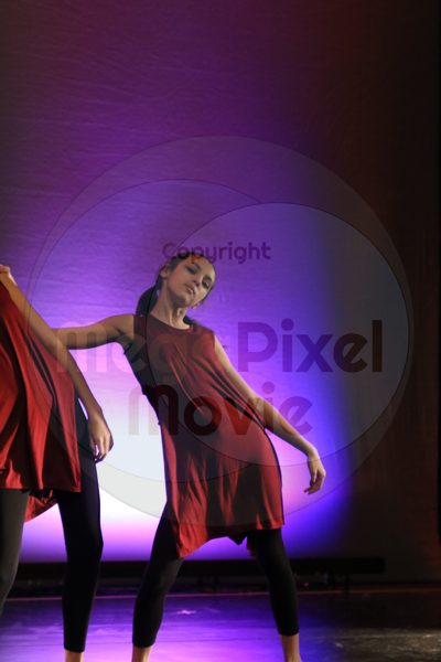 Dorothy Stringer Show - Image 1510