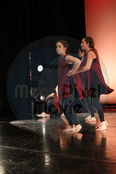 Dorothy Stringer Show - Image 1528