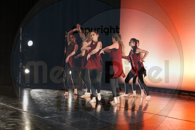 Dorothy Stringer Show - Image 1551