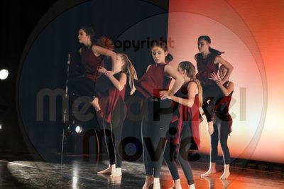 Dorothy Stringer Show - Image 1554