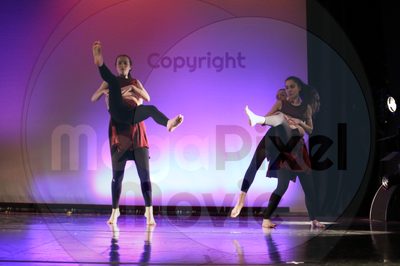 Dorothy Stringer Show - Image 1565