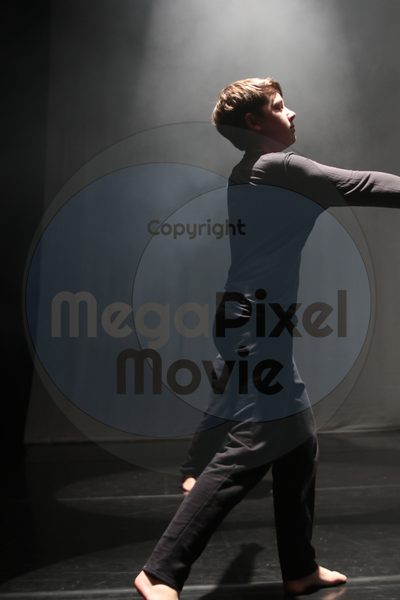 Dorothy Stringer Show - Image 0008