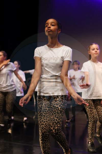 Dorothy Stringer Show - Image 1675