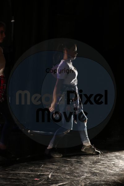 Dorothy Stringer Show - Image 8649
