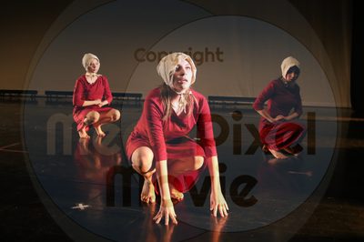 Dorothy Stringer Show - Image 2166