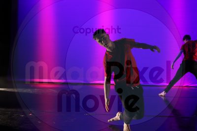 Dorothy Stringer Show - Image 8847