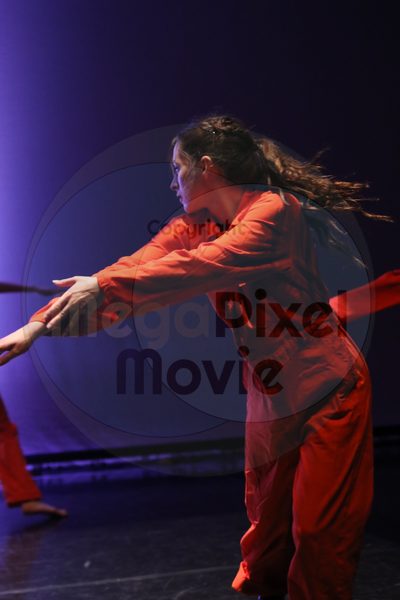 Dorothy Stringer Show - Image 2288
