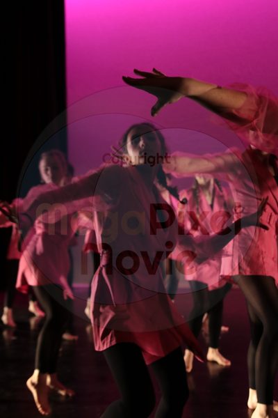 Dorothy Stringer Show - Image 0263
