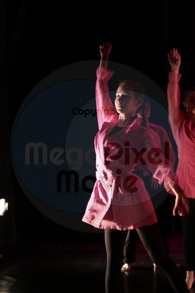 Dorothy Stringer Show - Image 0288