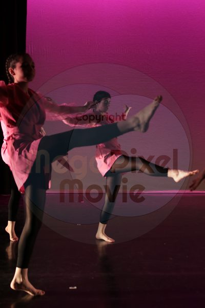 Dorothy Stringer Show - Image 0325
