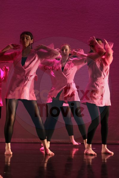 Dorothy Stringer Show - Image 0503