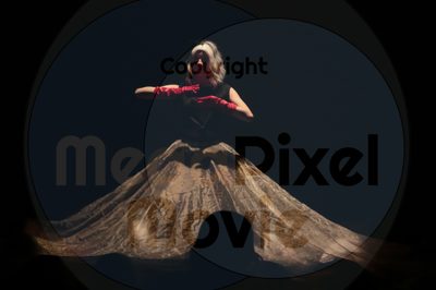 Dorothy Stringer Show - Image 0630