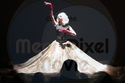 Dorothy Stringer Show - Image 0637
