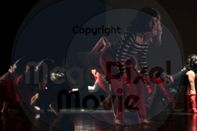 Dorothy Stringer Show - Image 0752