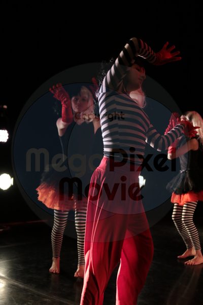 Dorothy Stringer Show - Image 0885
