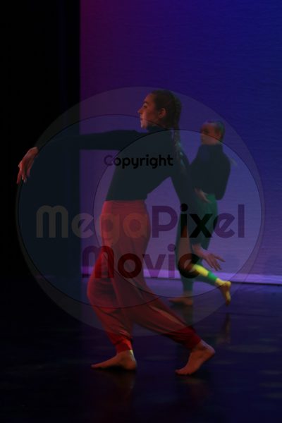 Dorothy Stringer Show - Image 1078